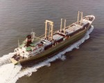 MS „ELISE SCHULTE“