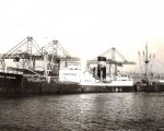 SS „ALFRED THEODOR“