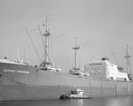 MS „ALFRED THEODOR“