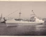 MS „LUCIE SCHULTE“ (1954-69)